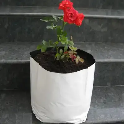 grow-bags-for-urban-gardening