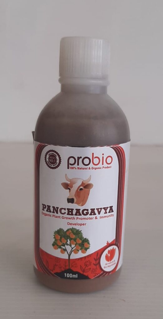 Panchagavya Organic Fertilizer | Growth Promoter - For All Crops 1 Ltr ...