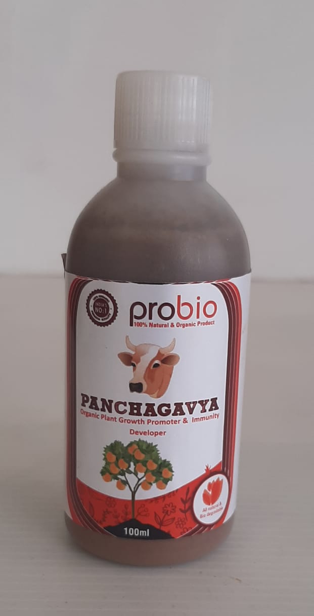 Panchagavya Organic Fertilizer