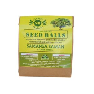 Samanea Saman/Rain Tree Seed Balls - ஆங்கிலம்தொகு மர விதை பந்துகள் Just ...